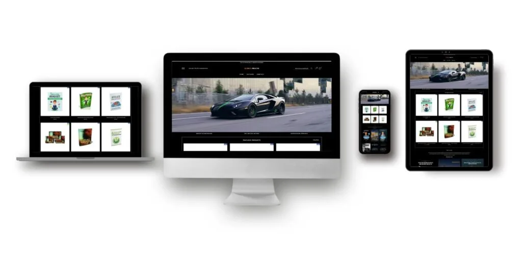 Transportation website design