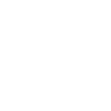 shopify 1 1